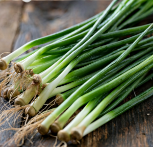 Green Part of the Scallion