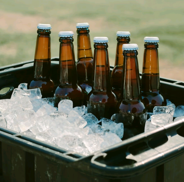 beer bottles with ice in container