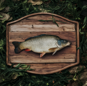 Carp Fish Over Old Wooden Board