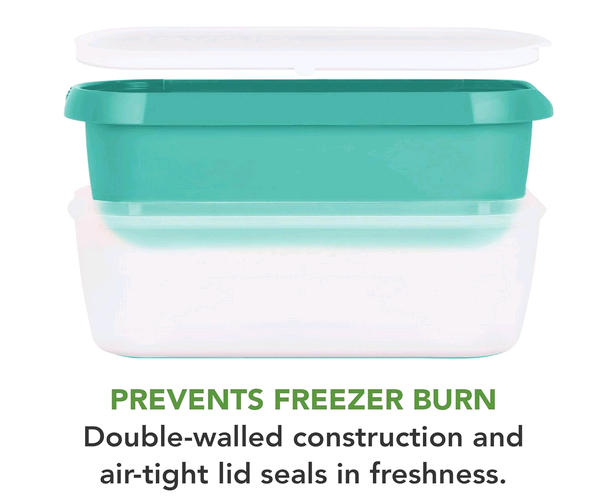 Specialty Ice Cream Storage Container